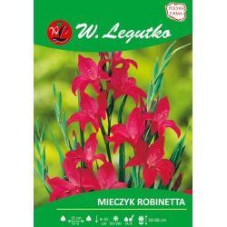Mieczyk Robinetta karminowy 5szt. - Cebule i Kłącza - W. Legutko