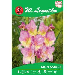 Mieczyk Mon Amour różowo-kremowy 5szt. - Cebule i Kłącza - W. Legutko