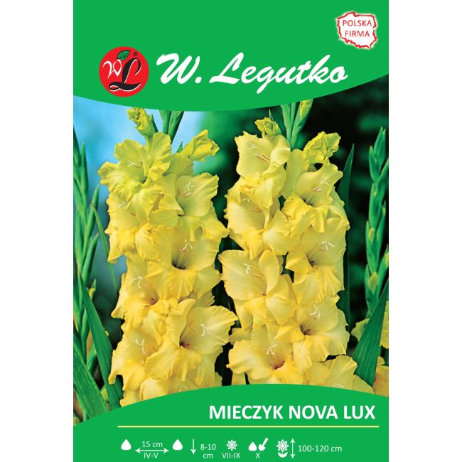 Mieczyk - Nova Lux - wielkokwiatowy - żółty - 5szt. - Cebule i Kłącza - W. Legutko