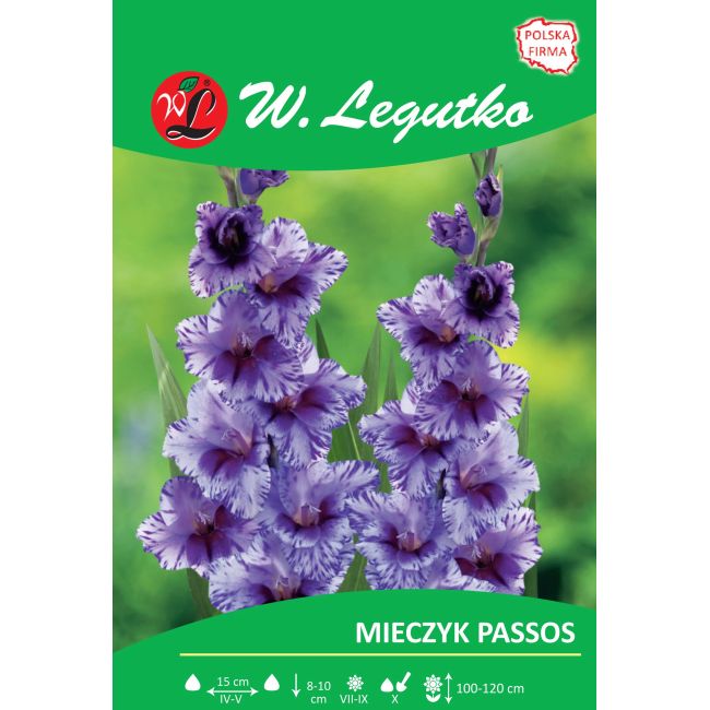 Mieczyk - Passos - wielkokwiatowy - fioletowo-biały - 5szt. - Cebule i Kłącza - W. Legutko