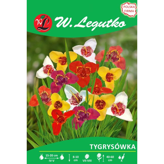 Tygrysówka - mieszanka - 7szt. - Cebule i Kłącza - W. Legutko