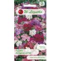 Floks, Płomyk letni mieszanka 0.50g - Nasiona - W. Legutko