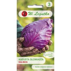 Kapusta głowiasta Kalibos 0.50g - Nasiona - W. Legutko