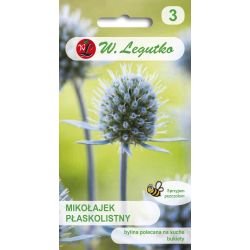 Mikołajek płaskolistny sinoniebieski 0.30g - Nasiona - W. Legutko