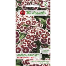 Goździk brodaty Holborn Glory purpurowo-czerwony 0.50g - Nasiona - W. Legutko Goździk brodaty Holborn Glory purpurowo-czerwony 0.50g - Nasiona - W. Legutko