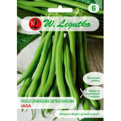 Fasola zwykła Jaga 40g - Nasiona - W. Legutko