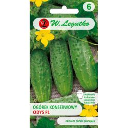 Ogórek Odys F1 4g - Nasiona - W. Legutko