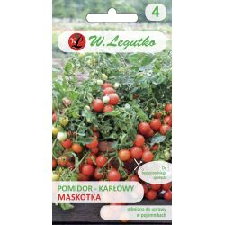 Pomidor gruntowy karłowy wiotkołodygowy - Maskotka