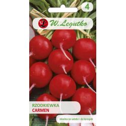 Rzodkiewka Carmen 10g - Nasiona - W. Legutko