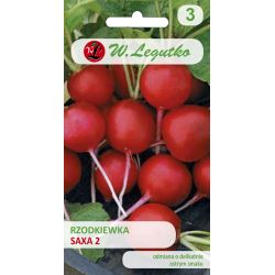 Rzodkiewka Saxa 2 10g - Nasiona - W. Legutko Rzodkiewka Saxa 2 10g - Nasiona - W. Legutko