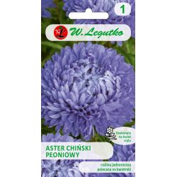 Aster chiński peoniowy niebieski 1g - Nasiona - W. Legutko Aster chiński peoniowy niebieski 1g - Nasiona - W. Legutko
