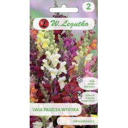 Lwia paszcza mieszanka 1g - Nasiona - W. Legutko
