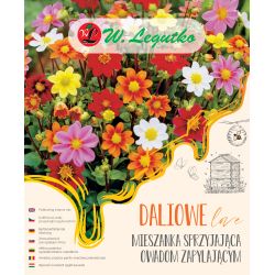 Mieszanka sprzyjająca owadom zapylającym kompozycja 5szt. - Cebule i Kłącza - W. Legutko