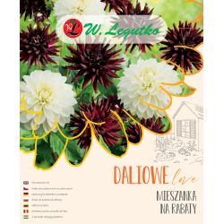 Mieszanka na rabaty kompozycja 5szt. - Cebule i Kłącza - W. Legutko