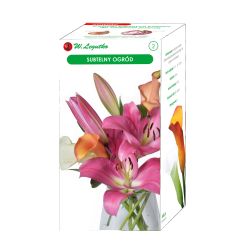 Subtelny ogród kompozycja 4szt. - Cebule i Kłącza - W. Legutko