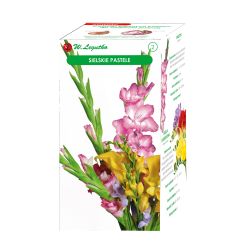 Sielskie pastele kompozycja 18szt. - Cebule i Kłącza - W. Legutko