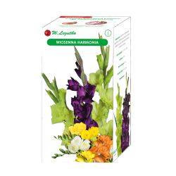Wiosenna harmonia kompozycja 20szt. - Cebule i Kłącza - W. Legutko