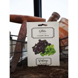 Sałata mieszanka odmian 0.50g Vintage - Nasiona - W. Legutko