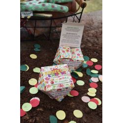 Konfetti kwietne Mieszanka roślin jednorocznych 1szt. - Nasiona - W. Legutko