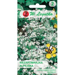 Niezapominajka alpejska biała 0.30g - Nasiona - W. Legutko