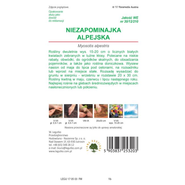 Niezapominajka alpejska - biała - Nasiona - W. Legutko