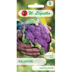 Kalafior Di Sicilia violetto 1g - Nasiona - W. Legutko Kalafior Di Sicilia violetto 1g - Nasiona - W. Legutko