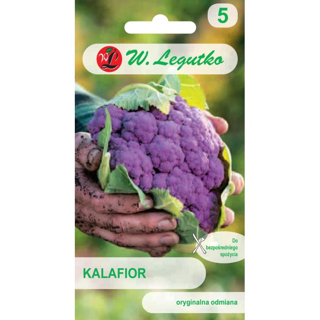 Kalafior - Di Sicilia violetto - Nasiona - W. Legutko