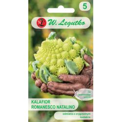 Kalafior Romanesco natalino 1g - Nasiona - W. Legutko