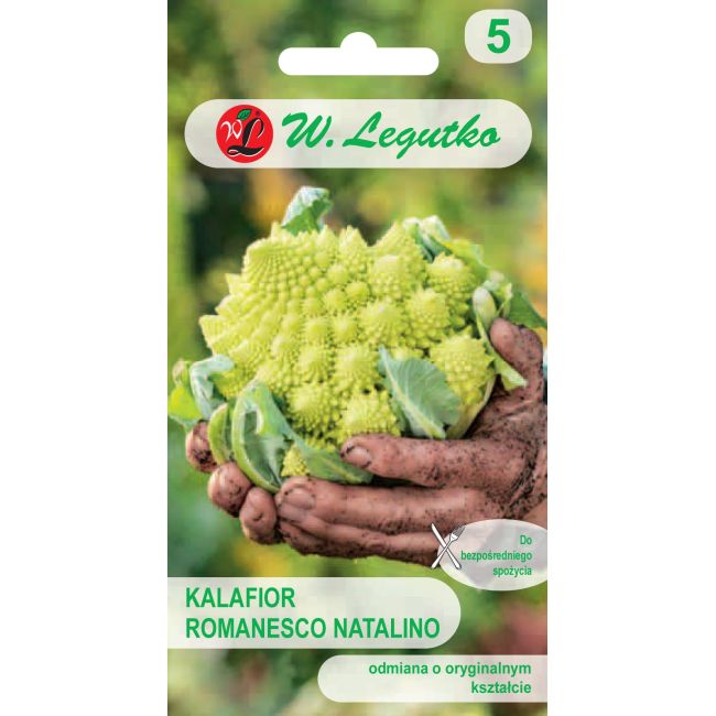 Kalafior - Romanesco natalino - Nasiona - W. Legutko