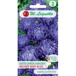 Aster chiński Milady Deep Blue niebieski 1g - Nasiona - W. Legutko Aster chiński Milady Deep Blue niebieski 1g - Nasiona - W. Legutko