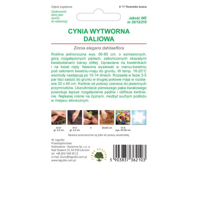 Cynia - wytworna - daliowa - Canary Bird - Nasiona - W. Legutko