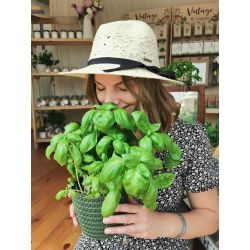 Kapelusz damski - Malwa - Akcesoria Ogrodowe - W. Legutko Kapelusz damski - Malwa - Akcesoria Ogrodowe - W. Legutko