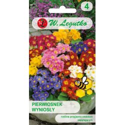 Pierwiosnek wyniosły mieszanka 0.30g - Nasiona - W. Legutko