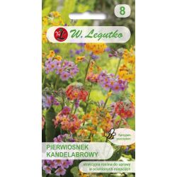 Pierwiosnek kandelabrowy mieszanka 0.02g - Nasiona - W. Legutko