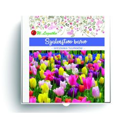 Szaleństwo barw kompozycja 20szt. - Cebule i Kłącza - W. Legutko Szaleństwo barw kompozycja 20szt. - Cebule i Kłącza - W. Legutko