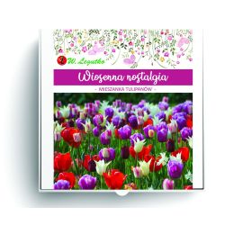 Wiosenna nostalgia kompozycja 20szt. - Cebule i Kłącza - W. Legutko Wiosenna nostalgia kompozycja 20szt. - Cebule i Kłącza - W. Legutko
