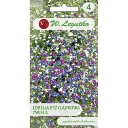 Lobelia przylądkowa zwisła mieszanka 0.20g - Nasiona - W. Legutko