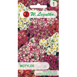 Motylek mieszanka 0.50g - Nasiona - W. Legutko Motylek mieszanka 0.50g - Nasiona - W. Legutko