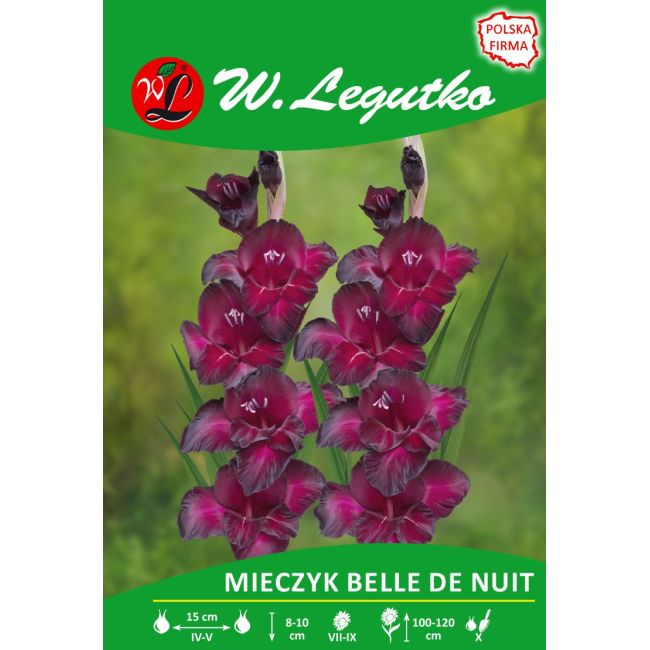 Mieczyk - Belle de Nuit - wielokwiatowy - burgundowy - 5szt. - Cebule i Kłącza - W. Legutko