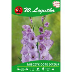 Mieczyk Cote d'Azur niebieski 5szt. - Cebule i Kłącza - W. Legutko