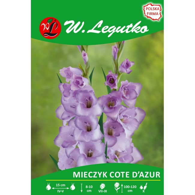 Mieczyk - Cote d'Azur - wielokwiatowy - niebieski - 5szt. - Cebule i Kłącza - W. Legutko