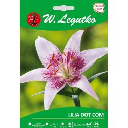Lilia Dot Com różowa, nakrapiana 1szt. - Cebule i Kłącza - W. Legutko