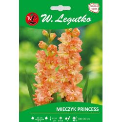 Mieczyk Princess pomarańczowy 5szt. - Cebule i Kłącza - W. Legutko