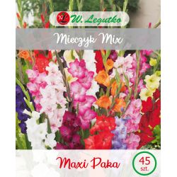 Mieczyk mieszanka 45szt. - Cebule i Kłącza - W. Legutko Mieczyk mieszanka 45szt. - Cebule i Kłącza - W. Legutko