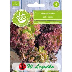 Sałata BIO Lollo rossa 0.50g - Nasiona - W. Legutko Sałata BIO Lollo rossa 0.50g - Nasiona - W. Legutko