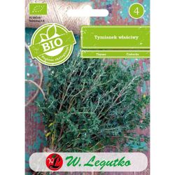Tymianek właściwy BIO 0.20g - Nasiona - W. Legutko