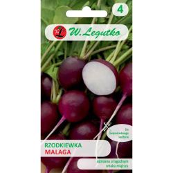 Rzodkiewka Malaga 5g - Nasiona - W. Legutko