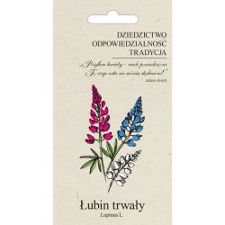 Łubin trwały ogrodowy mieszanka 2g OLD - Nasiona - W. Legutko