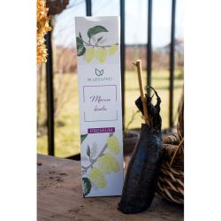 Morwa biała 1szt. - Cebule i Kłącza - W. Legutko