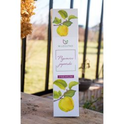 Pigwowiec 1szt. - Cebule i Kłącza - W. Legutko